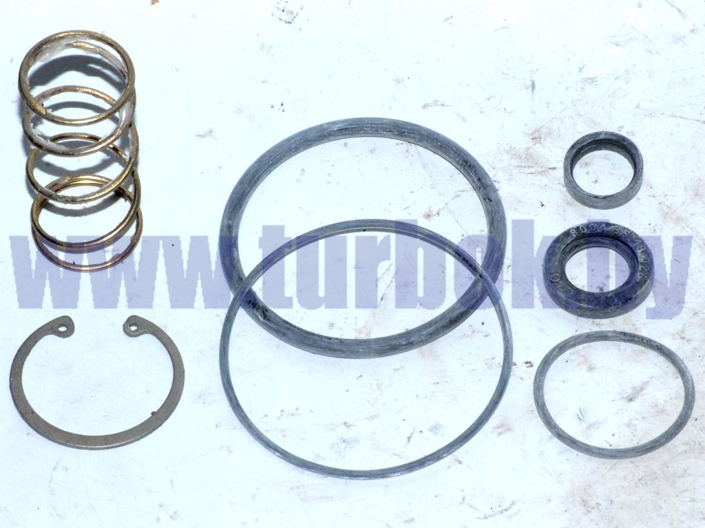 Рем.комплект головки клапана ускорительного (изд8001)