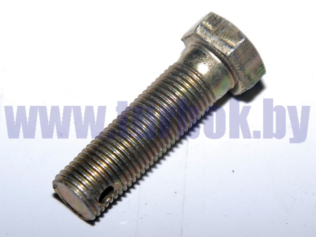 Болт 2М12*1.25-6Н*40 с отверстием