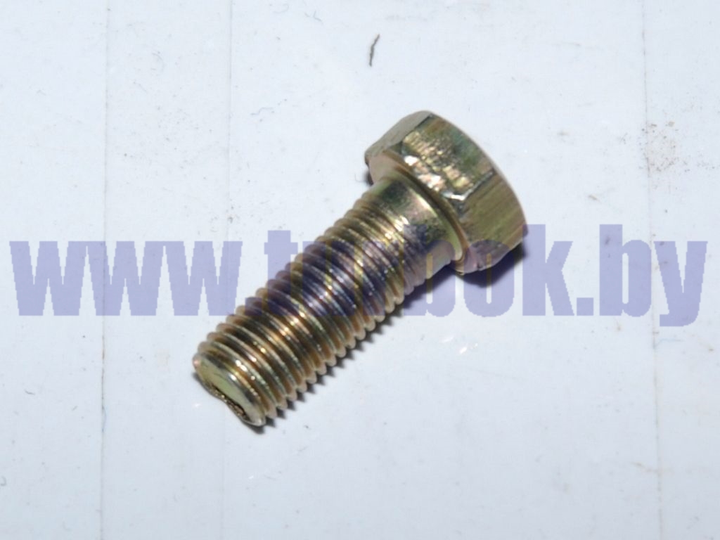 Болт М08*1-6g*20 ОСТ37.001.123-96