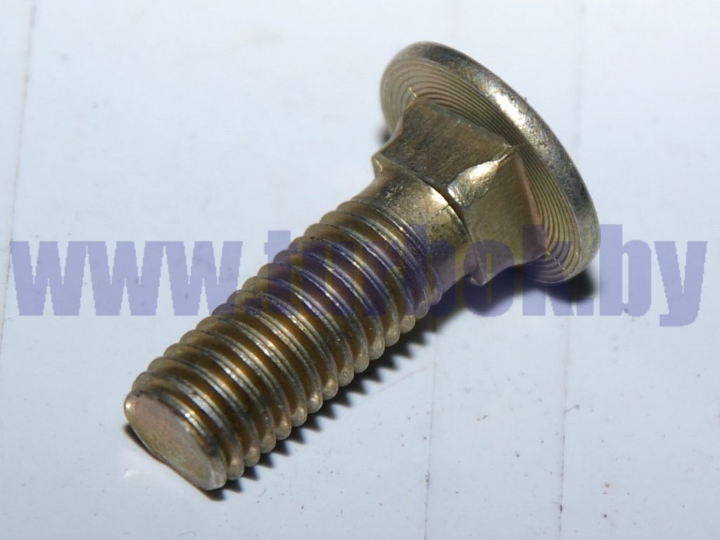 Болт М10-6Д*30 с круглой шляпкой