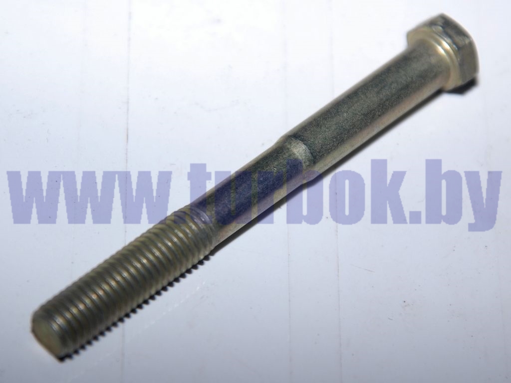 Болт М10-6g*100
