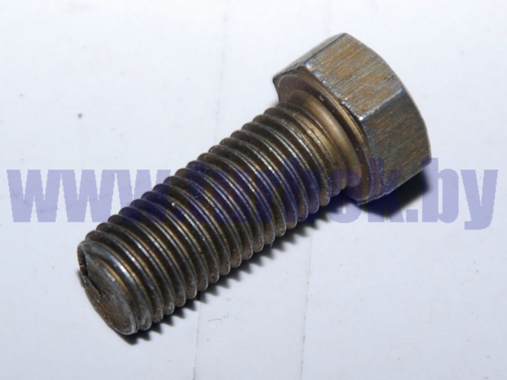 Болт М10*1.25-6g*25