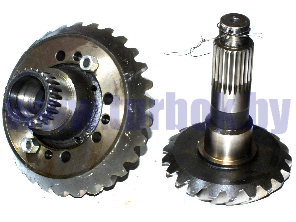 Шестерня ведущая и ведомая (z=29/21) овальное