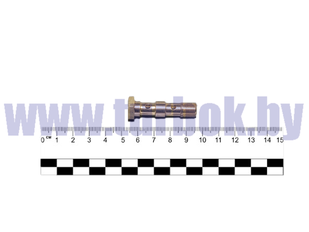Болт М10*1.5 трубки топливной подводящей ТНВД ЯМЗ-656, 658/1631 02-М10х1-S01