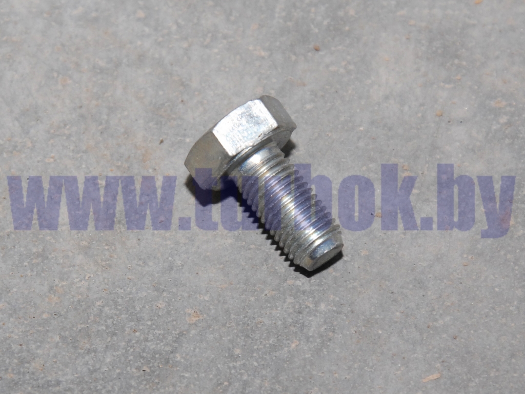 Болт М10*1.25-6gx20 КПП-154 КАМАЗ-65115, 6520