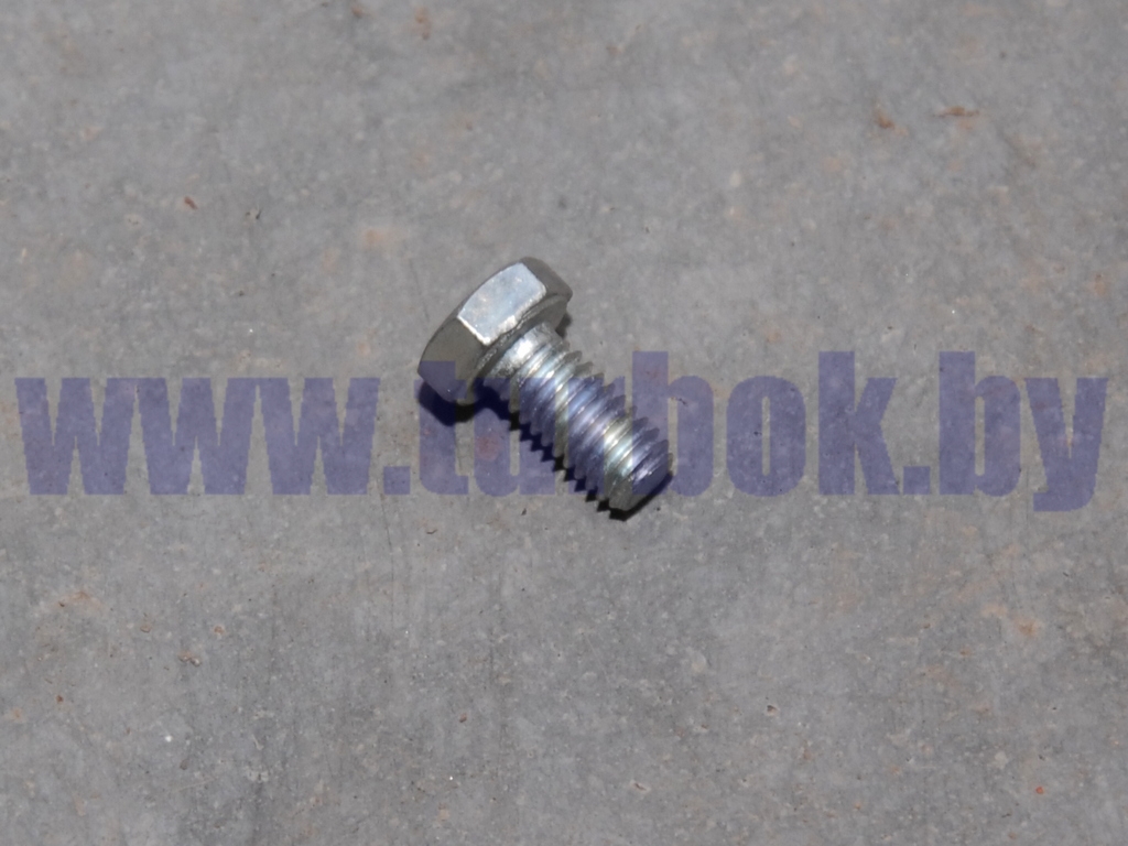 Болт М06*1.0х12-6g