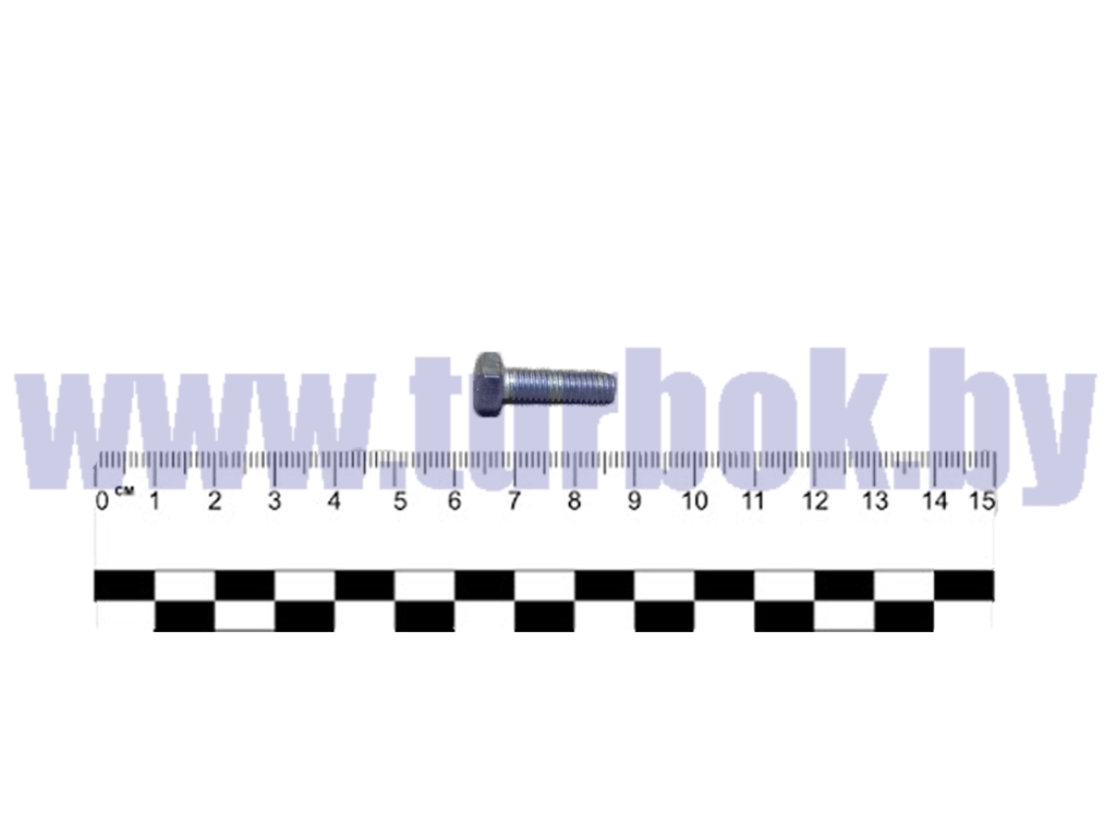 Болт М06-6gх20