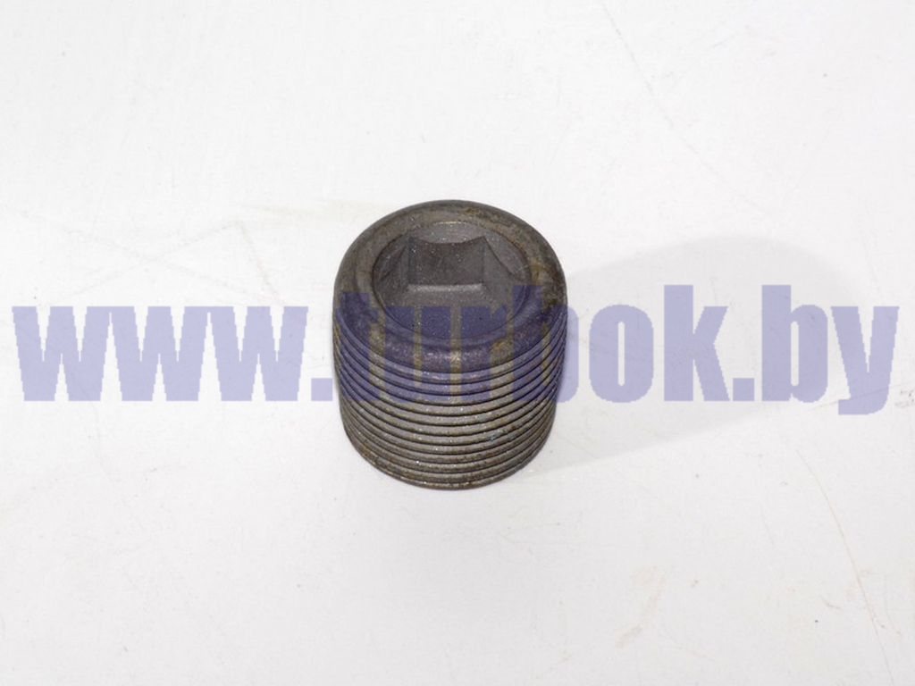 Пробка сливная КПП, РЗМ магнитная
