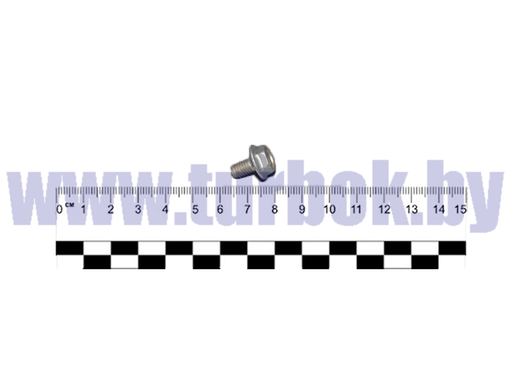 Болт М06*1.0х10 с буртиком