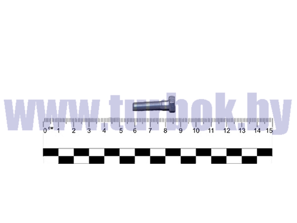 Болт М06-6gх25