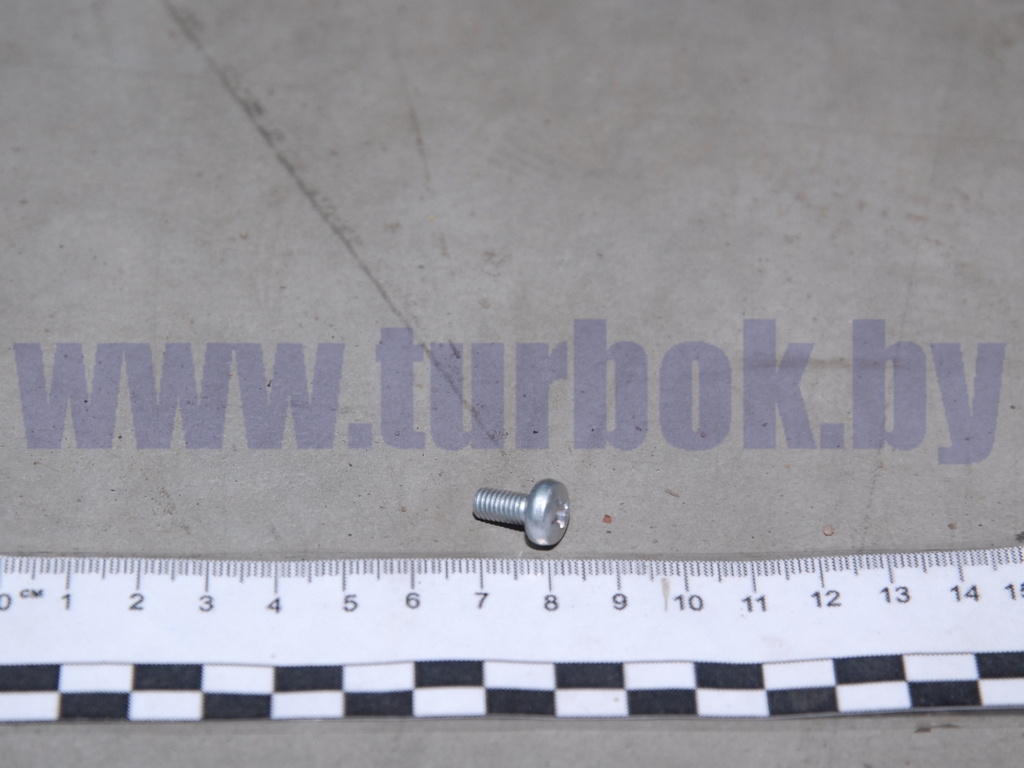 Винт М05*0.8х10 ручки двери внутренней
