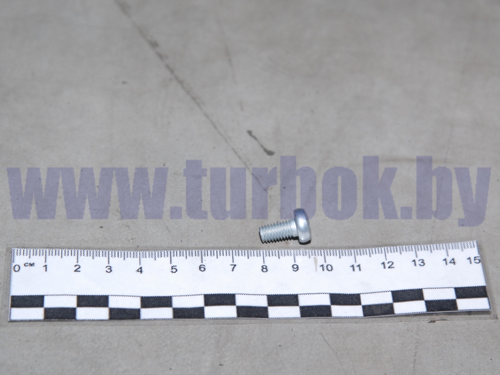 Винт М06*1.0х12 кронштейна бампера,крышки бака топливного