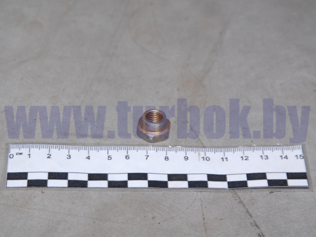 Гайка М10*1.25х11 КАМАЗ-65115, 6520