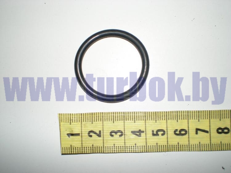 Кольцо уплотнительное суппорта КАМАЗ-65115