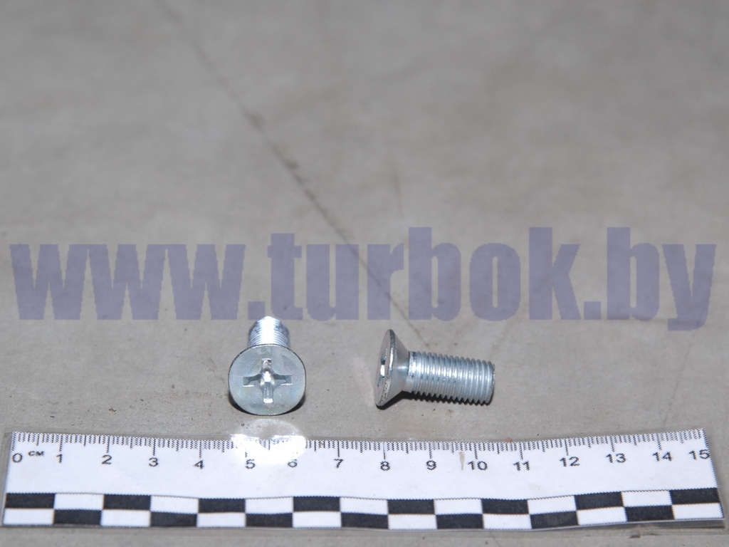 Винт М10*1,25х25 крепления барабана тормозного КАМАЗ-65115, 6520