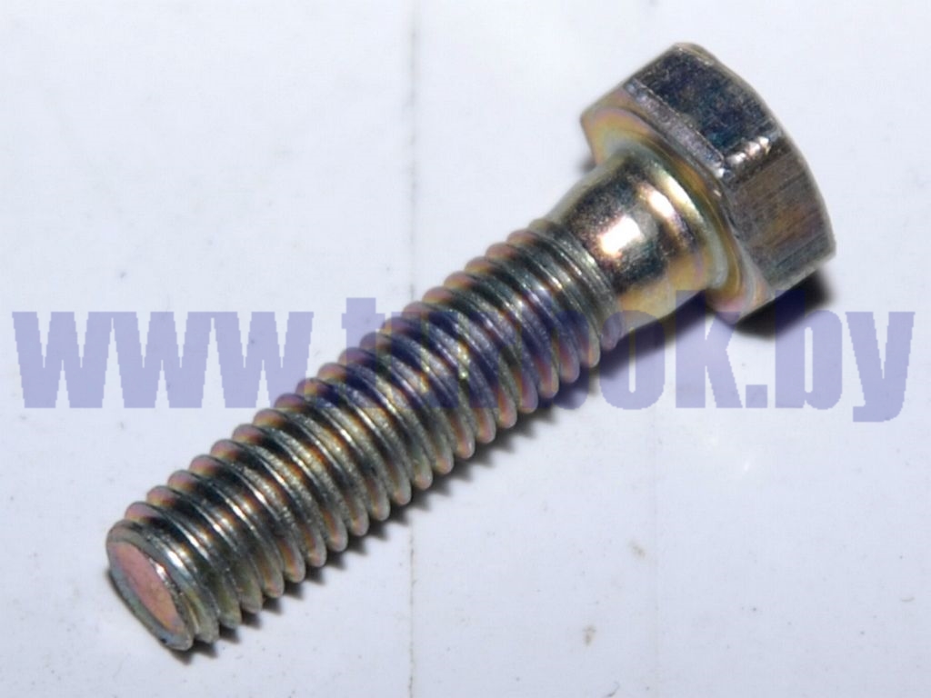 Болт М06-6g*25 ОСТ37.001.123-96