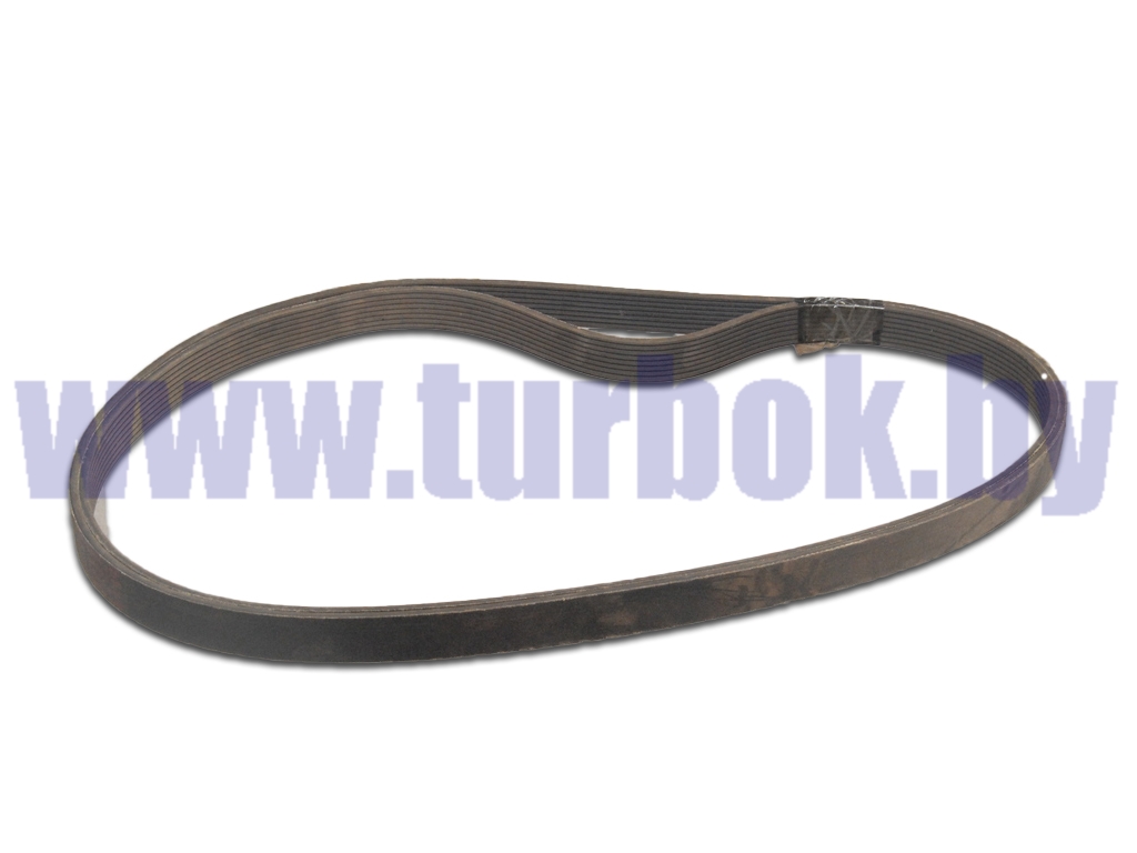Ремень генератора ДВС CUMMINS КАМАЗ-4308 28,48х5-1445
