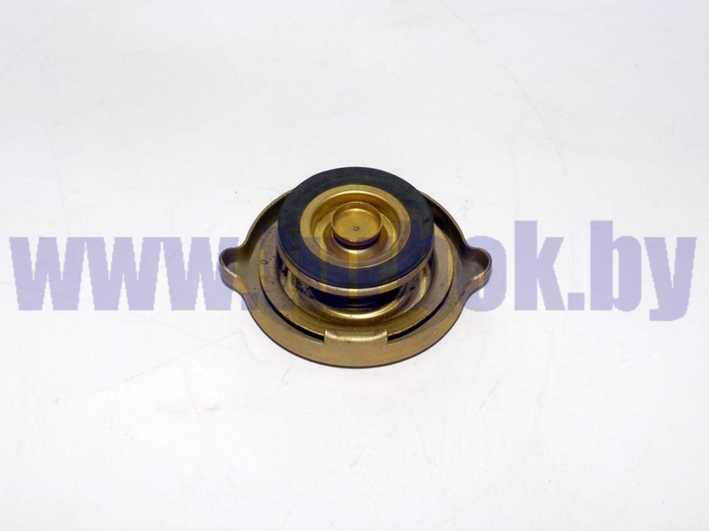 Пробка радиатора 5320