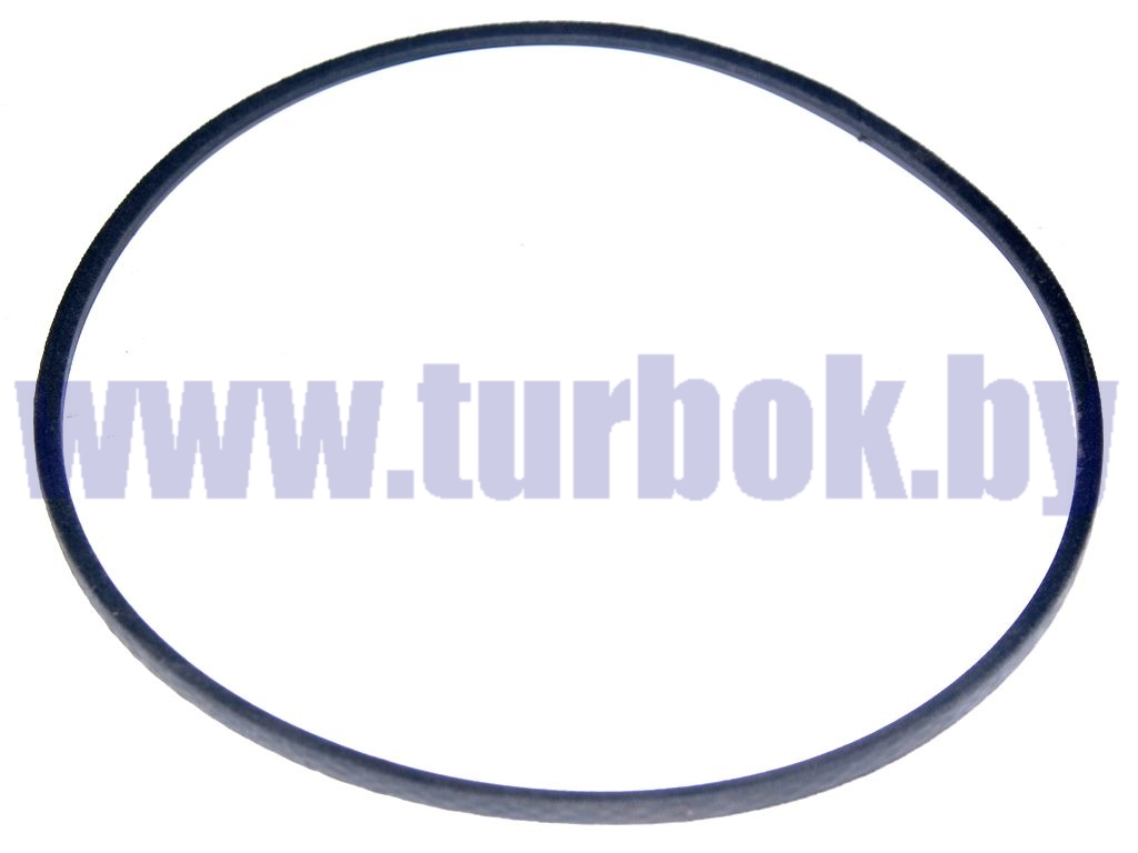 Ремень вентилятора (плоский) 09,7х8-1250 RUBENA на Евро-0 Д-245