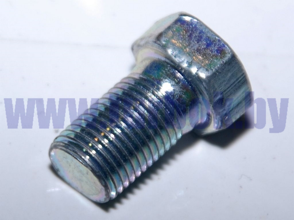 Болт М10х1х16