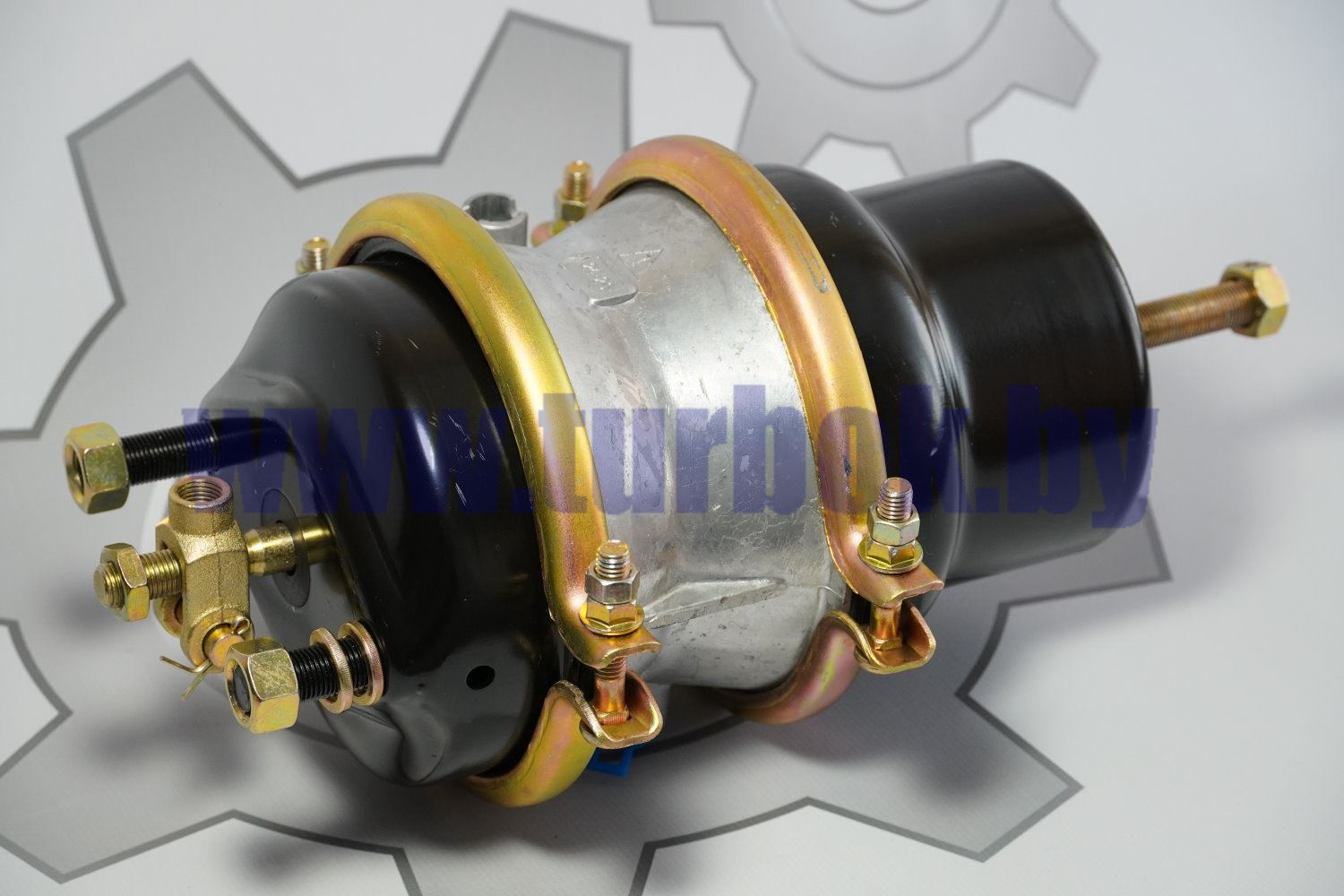 Камера тормозная (тип 24/20) задняя