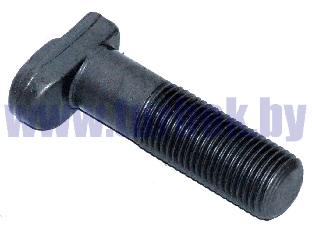 Болт колеса (костыль, L=65, М20х2) тефлон