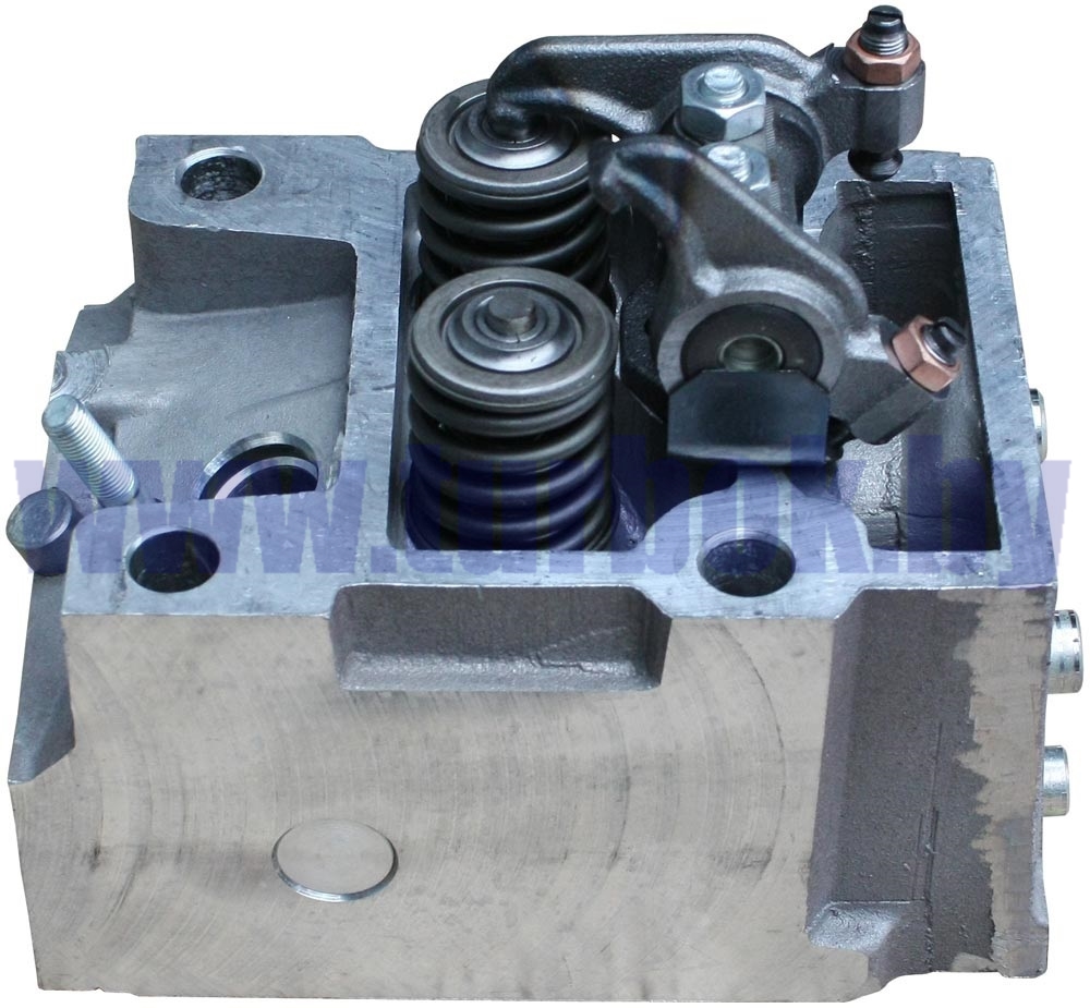 Головка цилиндра с клапанами в сборе