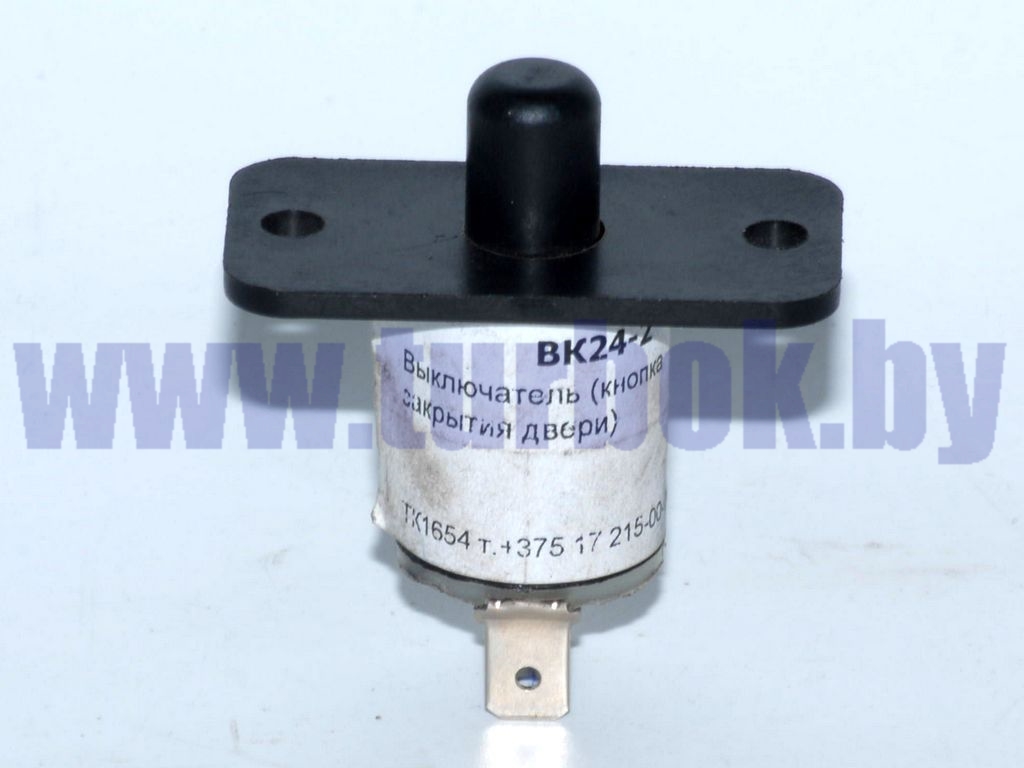 Выключатель (кнопка закрытия двери)