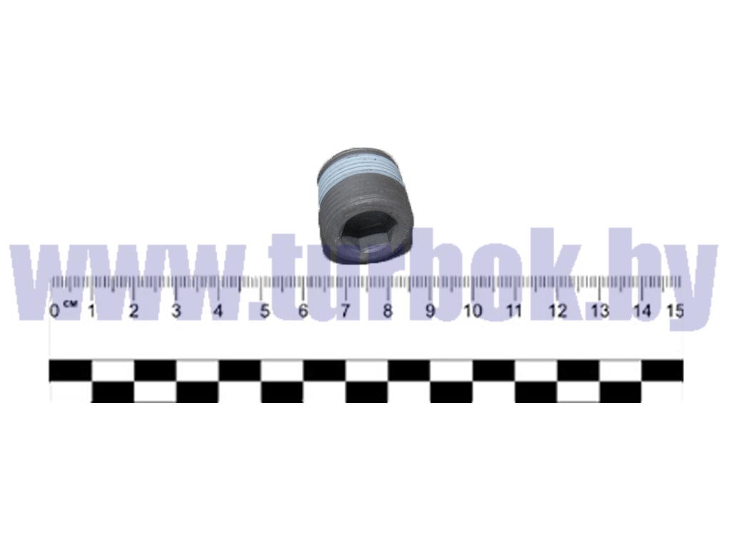 Пробка сливная КПП, РЗМ магнитная