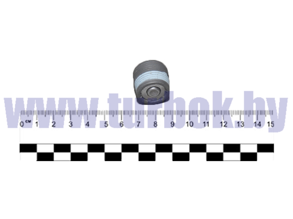 Пробка сливная КПП, РЗМ магнитная