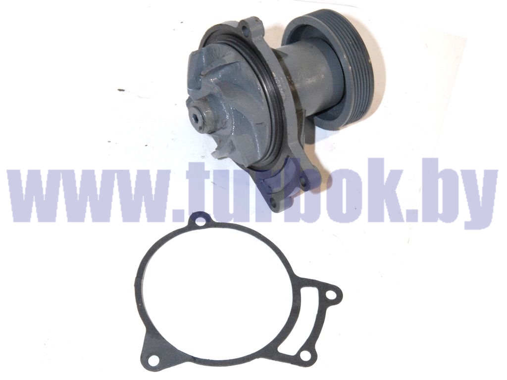 Насос водяной ЕВРО-2