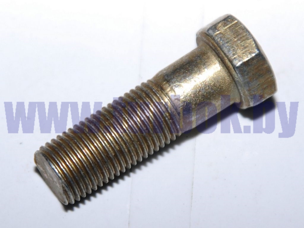 Болт М10х1