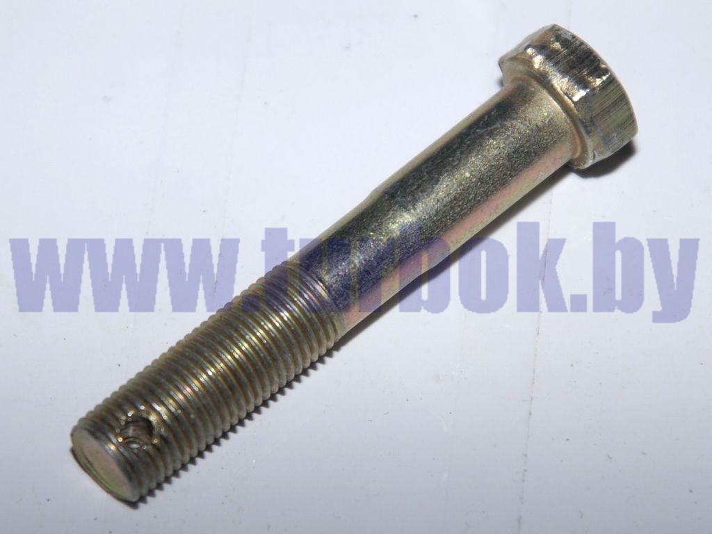 Болт 2М12*1.25-6Н*70