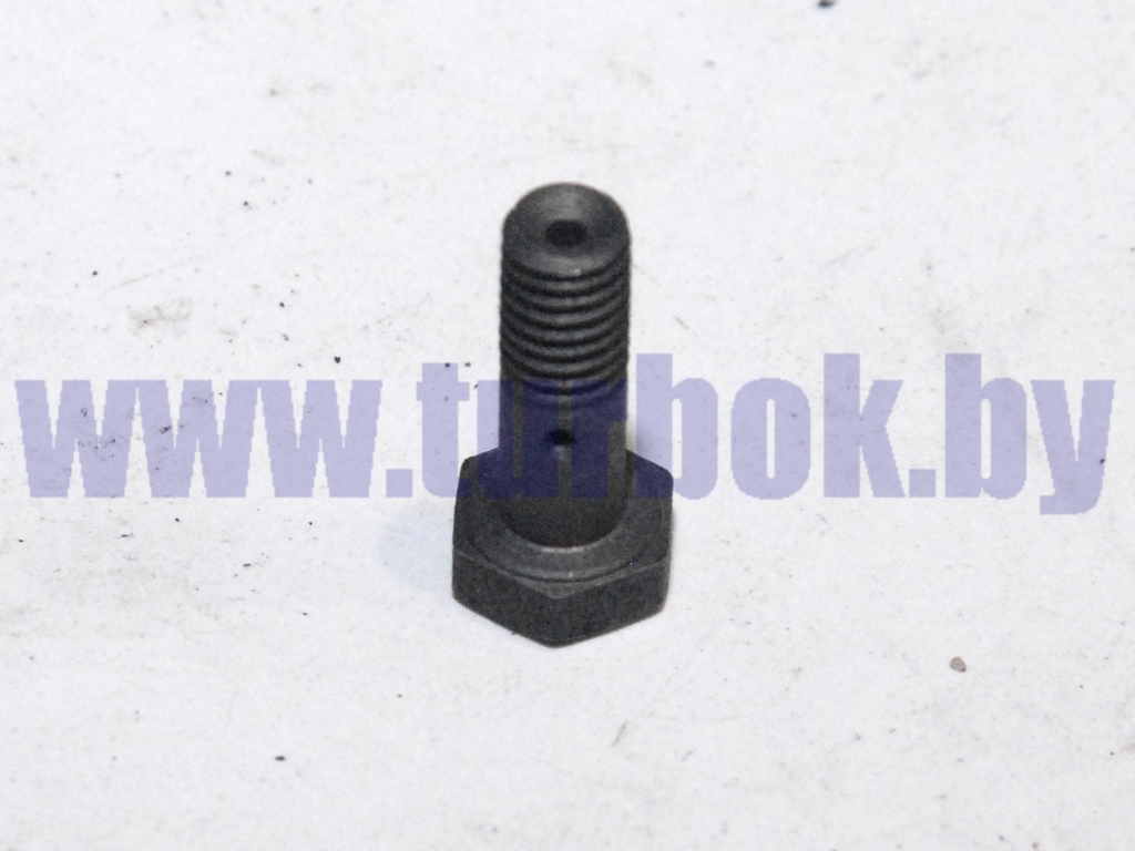 Болт-штуцер М06*1*17 крепления трубки дренажной