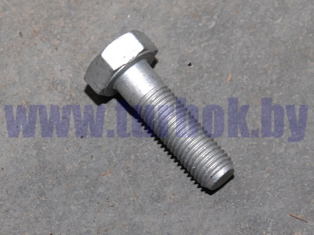Болт М10*1,25-6gх35