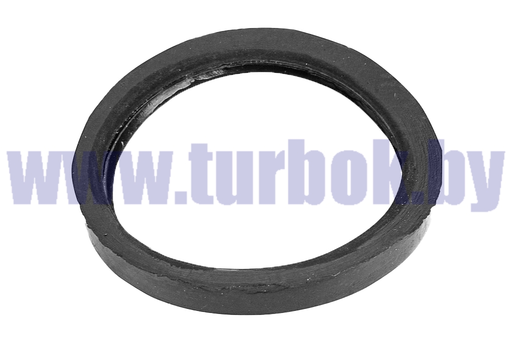 Кольцо уплотнительное кулака разжимного тормоза переднего КАМАЗ-65115