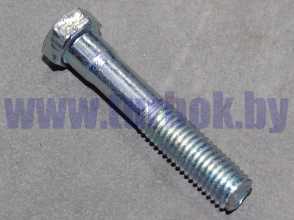 Болт М10-6g*55