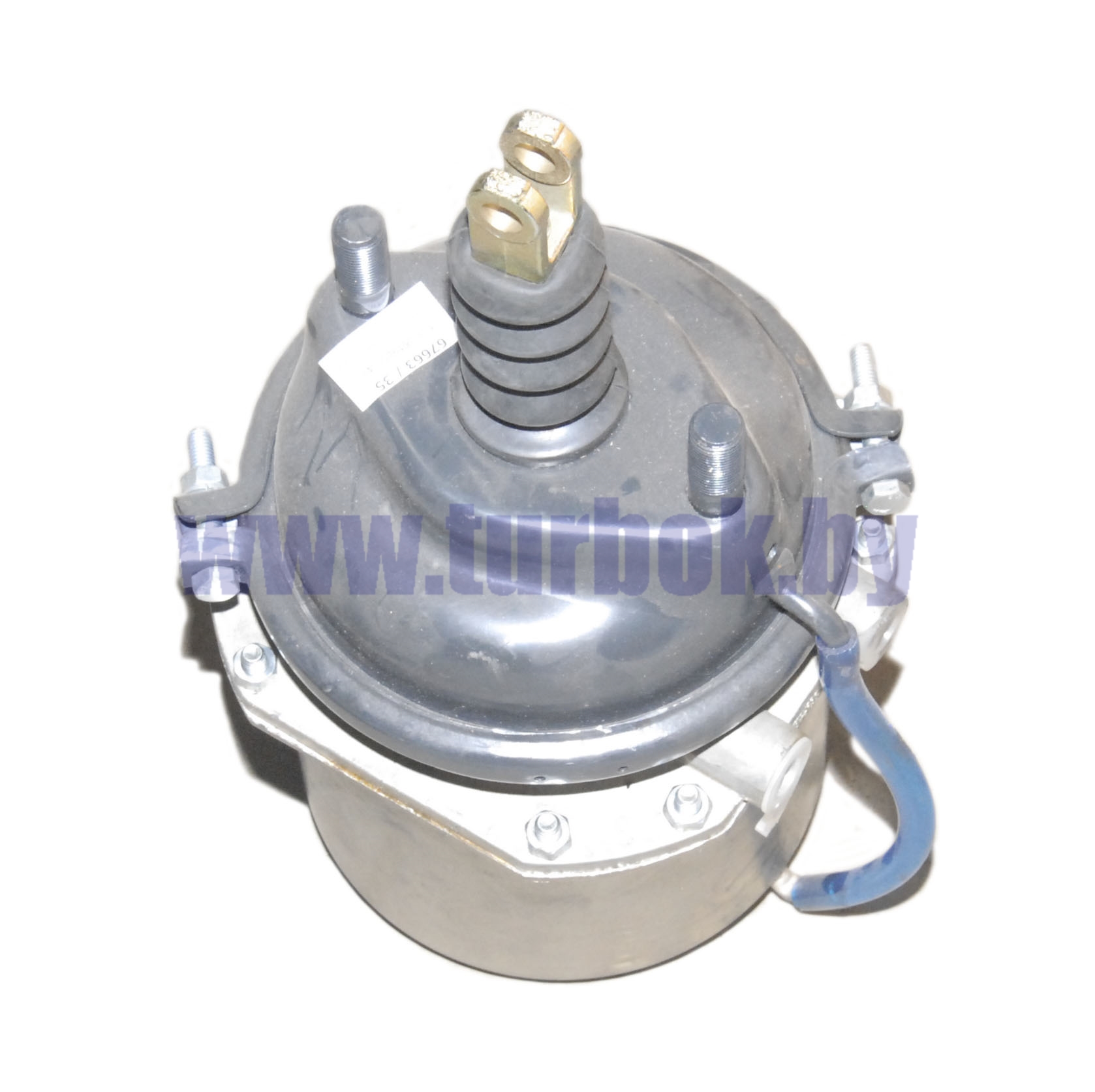 Камера тормозная (тип 24/24) задняя (угол установки хомута 30-40) РААЗ