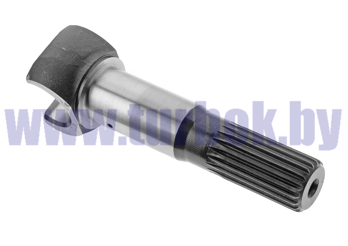 Кулак шарнира наружный