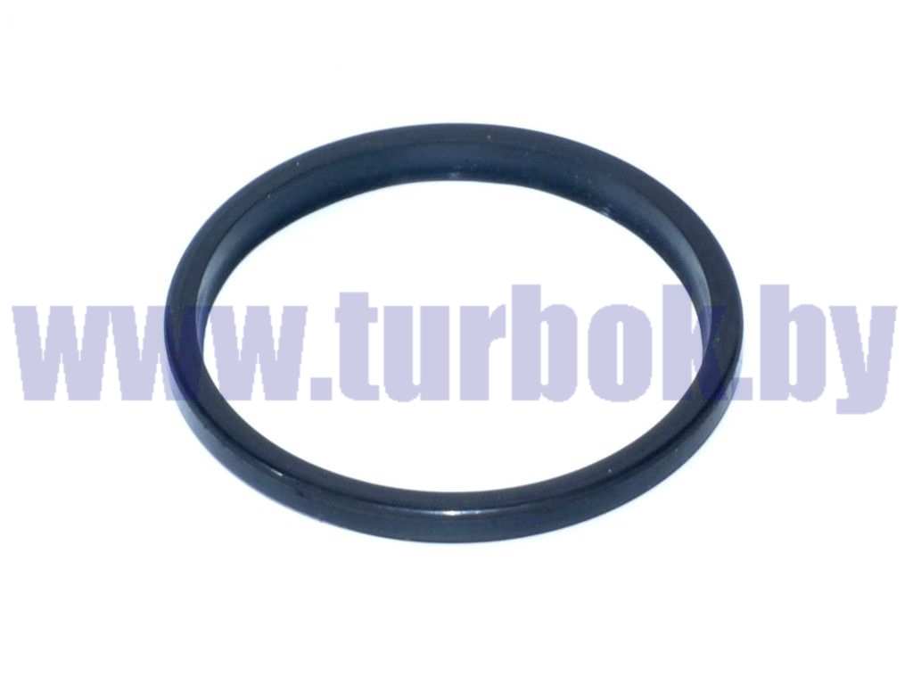 Кольцо уплотнительное шкворня